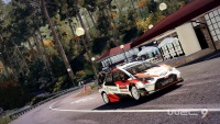 WRC9 img10.jpg