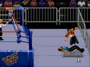 WWF Rage in the Cage (Sega CD) juego real 003.jpg