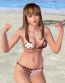 Hitomi 003 (Dead or Alive Xtreme Beach Volleyball.jpg