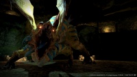 Final Fantasy XIV Screenshot 031.jpg