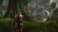 Kingdoms of Amalur Imagen (10).jpg