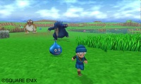 Pantalla 01 campo Dragon Quest Monsters Terry's Wonderland 3D N3DS.jpg