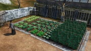 Ryu Ga Gotoku Ishin - Another Life - Growing Vegetables (3).jpg