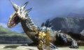 Imagen16-monsterhunter3g.jpg