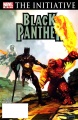 Black Panther 28.jpg