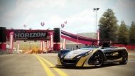 Forza Horizon 33.jpg