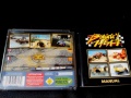 Buggy Heat (Dreamcast Pal) fotografia caratula trasera y manual.jpg