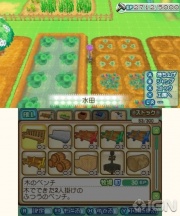 Imagen7Harvestmoon3DS.jpg