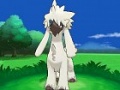 Pokemon x pokemon y-Furfrou.jpg