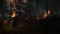 Imagen02 The Forest - Videojuego de PC.jpg