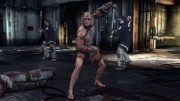 Batman Arkham Asylum SH12.jpg