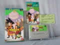 Dragon Ball Z Super Butouden 3 (Super Nintendo NTSC-J) fotografia caratula delantera-cartucho y manual.jpg