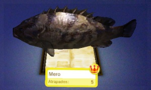 PescaLibreN3ds Mero.JPG