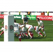 Rugby World Cup 2011 Imagen (13).jpg