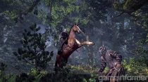 The Witcher 3- Wild Hunt 3.jpg