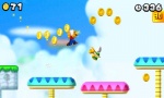 New Super Mario Bros 2 Screenshot 14.jpeg