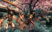 Shadow Warrior Imagen (02).jpg