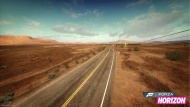 Forza Horizon 13.jpg