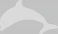 Dolphinemu-logo.png