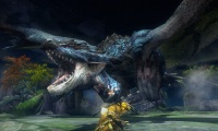 Imagen3-monsterhunter3g.jpg