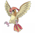 Pidgeotto.png