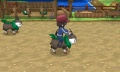 Skiddo montura pokemon x y.jpg