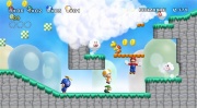 New super mario bros wii imagen 5.jpg