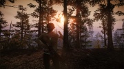 State Of Decay forest 01.jpg