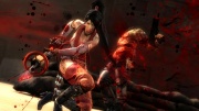 Ninja Gaiden 3 Razor's Edge Imagen 13.jpg