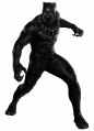 Black panther.png