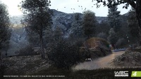 WRC4Pack5Photo10.jpg