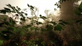 Imagen03 The Forest - Videojuego de PC.jpg