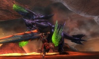 Imagen1-monsterhunter3g.jpg