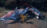 Imagen15-monsterhunter3g.jpg