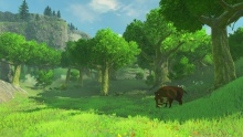 The Legend of Zelda Breath of the Wild Ilustración (15).jpg