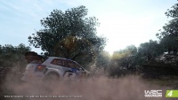 WRC4Pack5Photo8.jpg