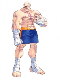 Sagat 005 (Street Fighter Alpha 2).jpg