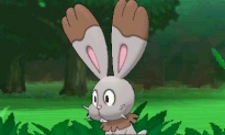 Bunnelby combate pokemon x y.jpg