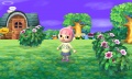 Animal Crossing Jump Out 011.jpg