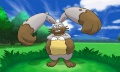 Diggersby combate 2 pokemon x y.jpg