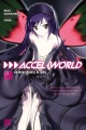 Accel World Novela - 01 YenPress.jpg