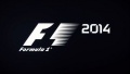 F1 2014 header.jpg