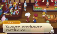 Fantasy Life Screenshot 11.jpg