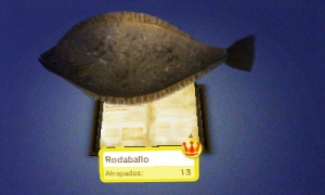 PescaLibreN3ds Rodaballo.JPG