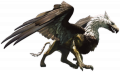 Grifo - Dragon's Dogma.png