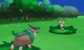 Skiddo combate pokemon x y.jpg