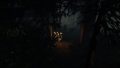 Imagen07 The Forest - Videojuego de PC.jpg