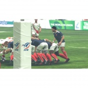 Rugby World Cup 2011 Imagen (08).jpg