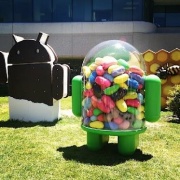 Android JellyBean real.jpg