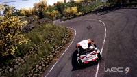 WRC9 img08.jpg